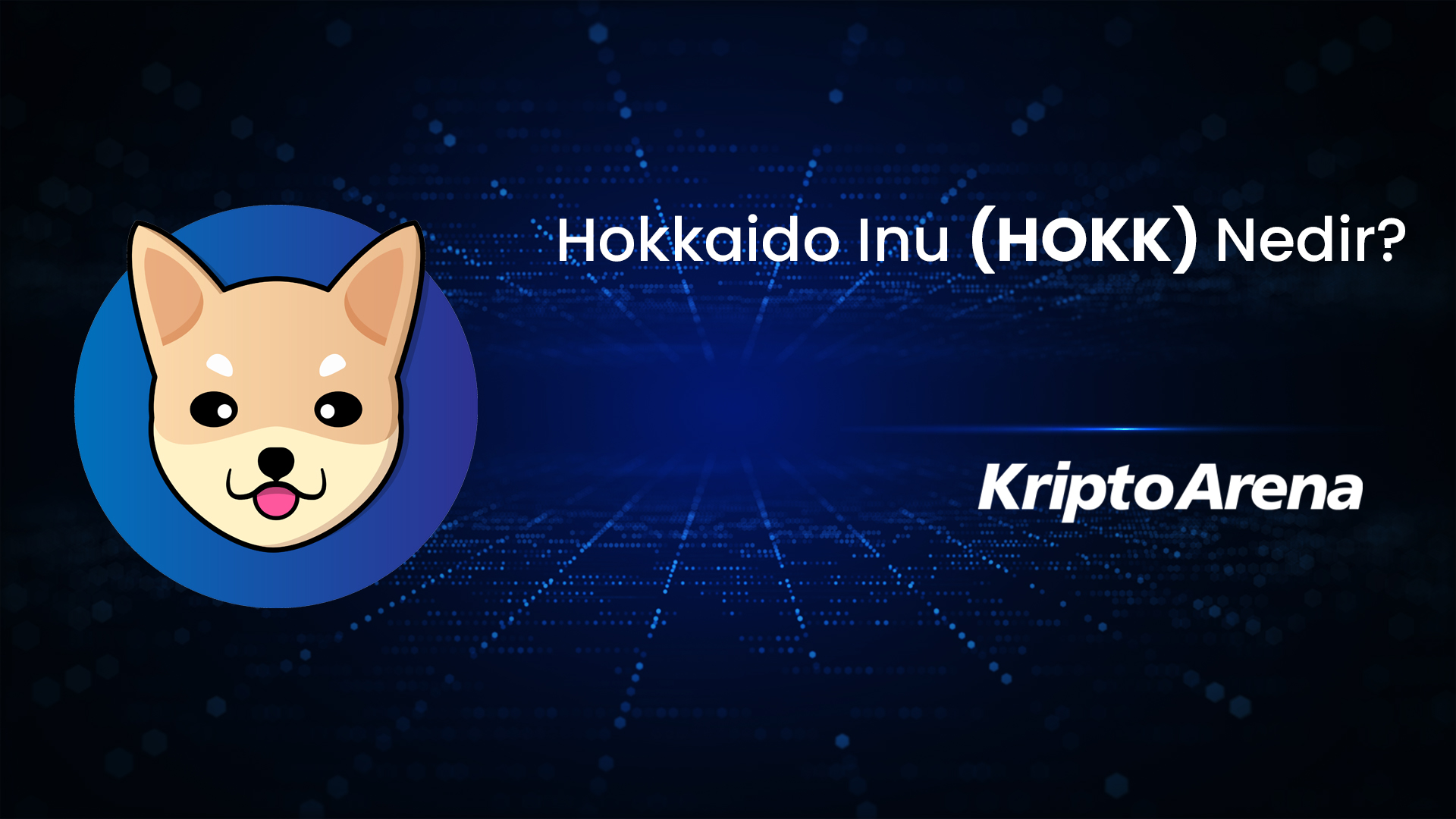 Hokkaido Inu nedir? HOKK Ne İşe Yarar?