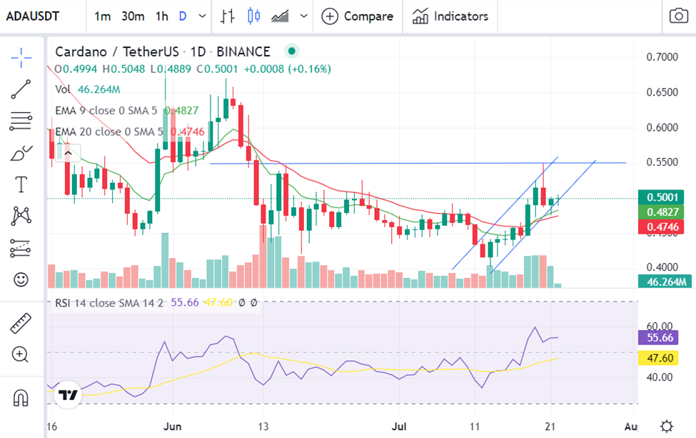 cardano