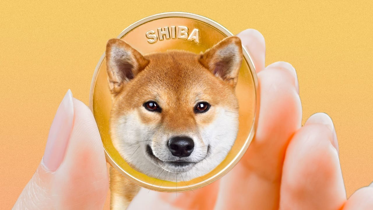meme coin