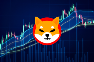 Dikkat: Shiba Inu Fiyatı Çok Yakında Devasa Bir Patlama Yapabilir!