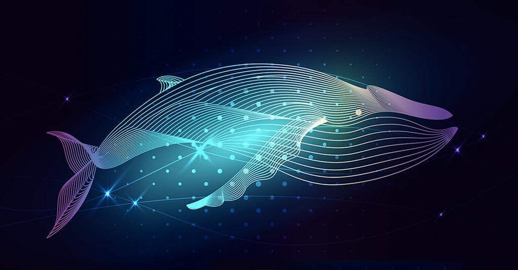 Balinalar Bu Altcoin'i Dipten Topluyor!