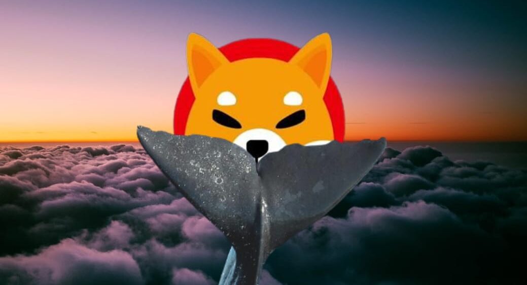Shiba Inu Balina İstilasında! Peki Balinalar Boğa Koşusunu Başlatabilir mi?