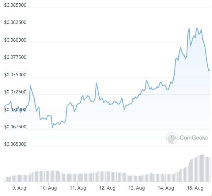 meme coin