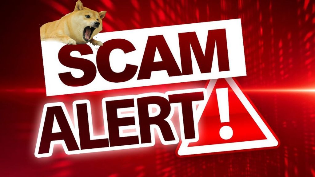 DOGE Topluluğu Yakaladı: Bu Şüpheli İşlemler Ponzi mi?
