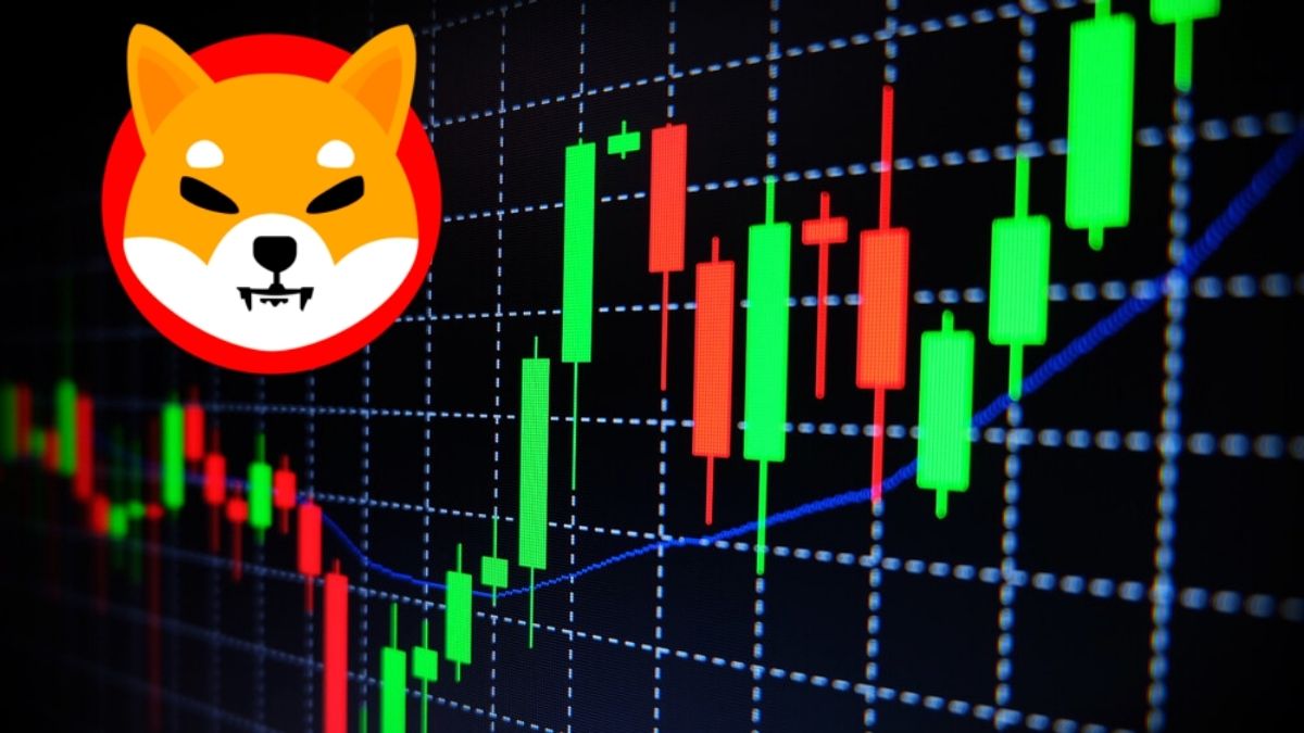 Shiba Inu Yakımları Artarak Devam Ediyor! Fiyat Etkilenecek mi?
