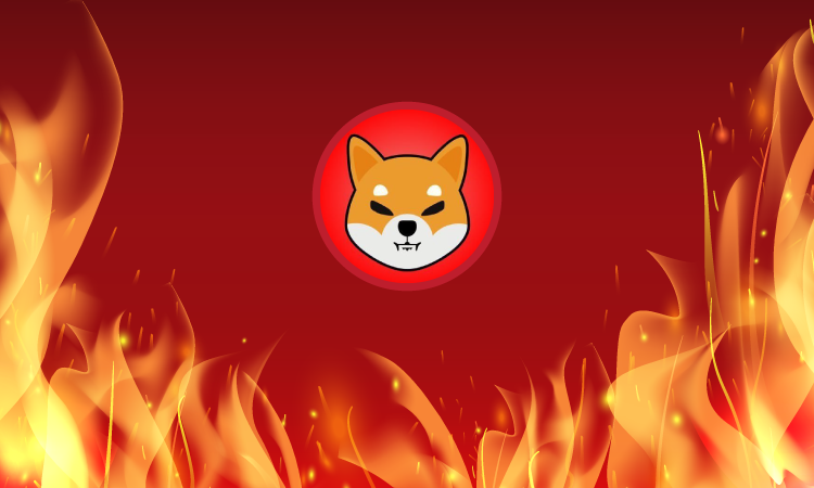 Shiba Inu Yakımları Sürüyor! İşte Detaylar