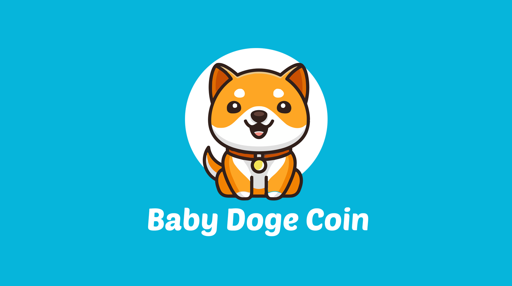 Baby Doge Coin (BABYDOGE) Nedir?
