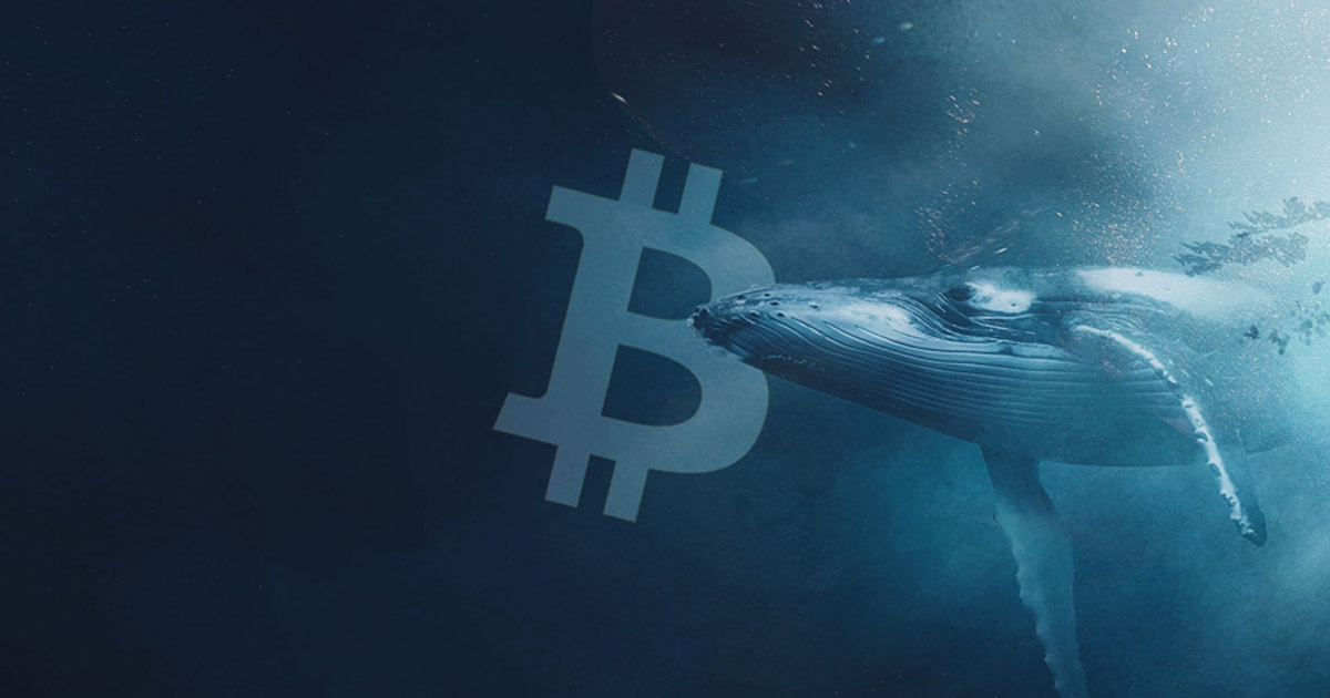 Bitcoin Balinaları Fiyatları Nasıl Etkiliyor? İşte Detaylar