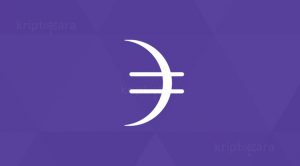 Dusk Network (DUSK) Nedir?