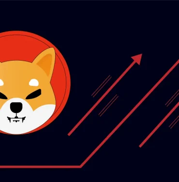 shiba-inu