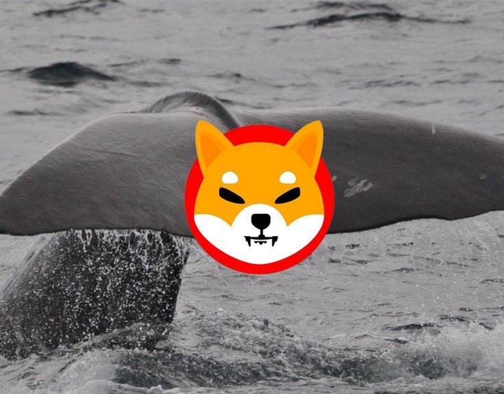 Shiba Inu Düşüşte Ama ETH Balinaları Toplamaya Devam Ediyor!