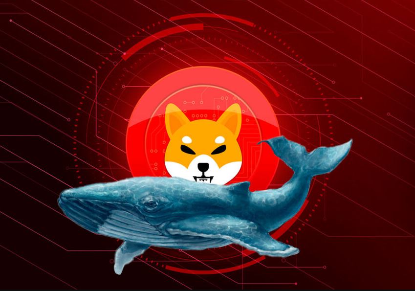 Ethereum Balinaları Shiba Inu Avında! Fiyat Yükselecek mi?