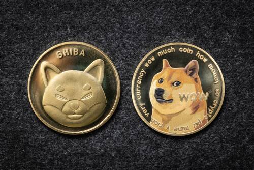 DOGE ve SHIB'i Bu Hafta Neler Bekliyor? İşte Fiyat Tahmini!