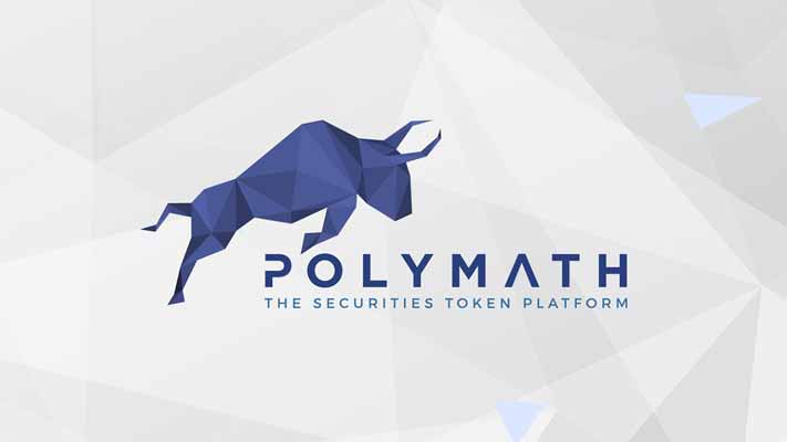 Polymath (POLY) Nedir?