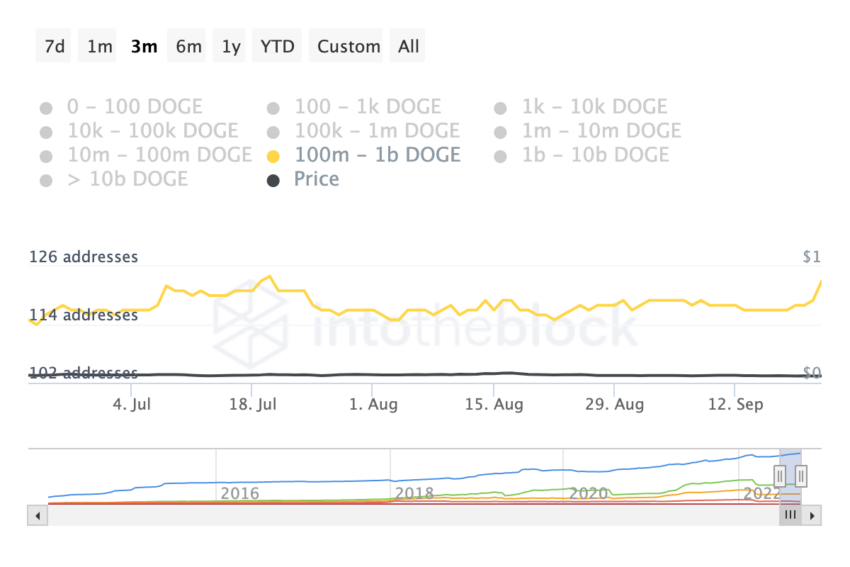 Dogecoin Yatırımcıları Dikkat: Bu Metrikler Yükseliyor!