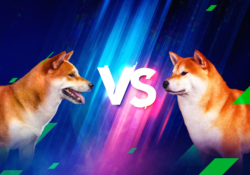Shiba Inu Çok Yakında Dogecoin'i Tahtından İndirilebilir! Nasıl?