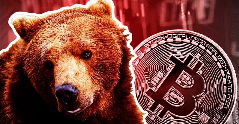 Ayı Piyasasında Kripto Para Birimlerinden Nasıl para Kazanılır?