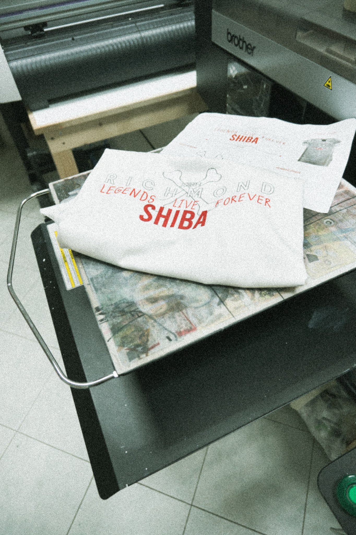Shiba Inu