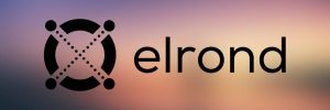 Elrond (EGLD) Nedir?