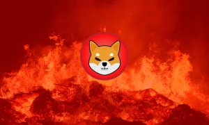 Shiba Inu Yakımları Ralliyi Destekleyecek mi? İşte Ayrıntılar