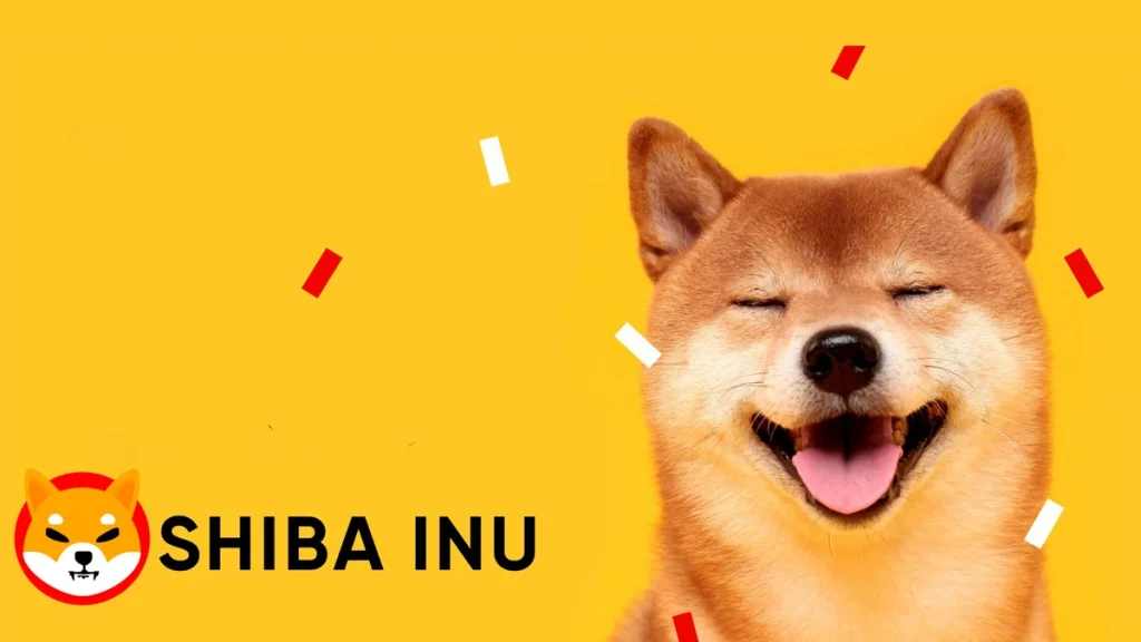 Shiba Inu (SHIB) Nedir?