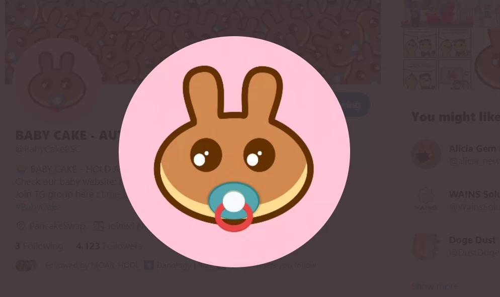 Baby Cake (BABYCAKE) Nedir?