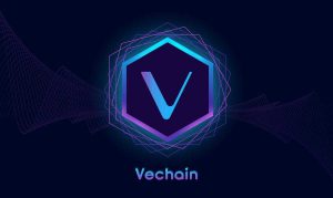 altcoin