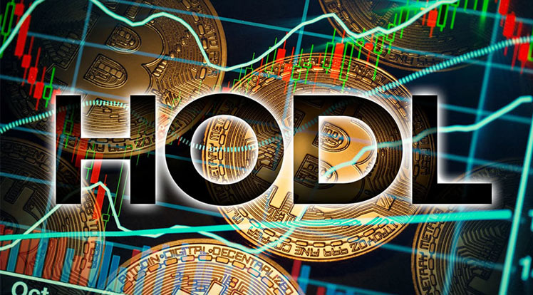 HODL'deki Bitcoin 5 Yılın En Yüksek Seviyesine Ulaştı!