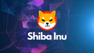 Shiba Inu Geliştiricileri Kendilerinden Emin: Güveniyoruz!