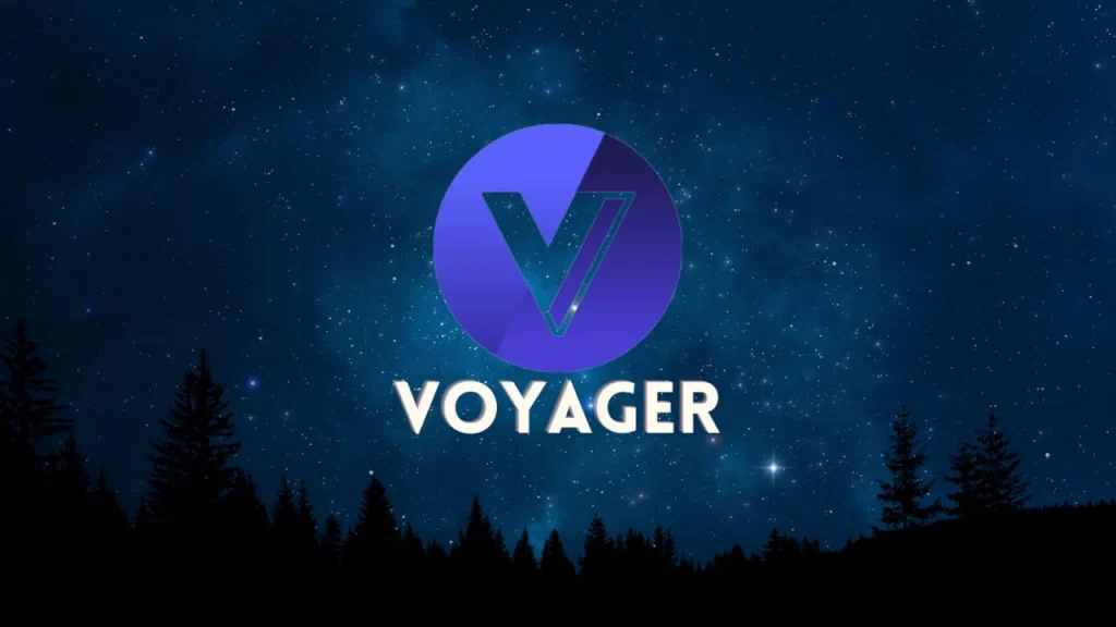 Voyager (VGX) Nedir?