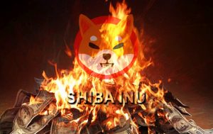 Shiba Inu Yakımları Sürüyor Ancak Grafikler Alarm Veriyor!