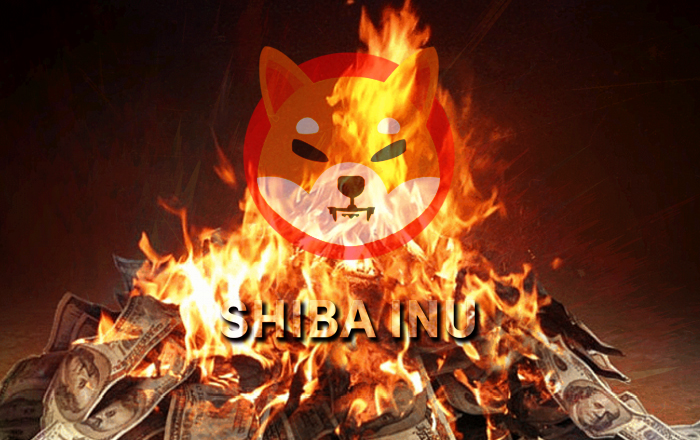 Shiba Inu Yakımları Sürüyor Ancak Grafikler Alarm Veriyor!
