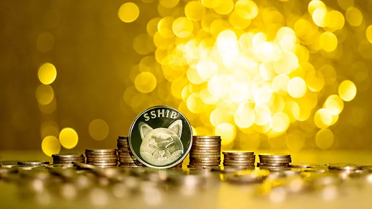 Shiba Inu Mucidi Heyecan Verici Haberi Verdi: Yakında Geliyor!