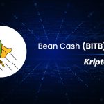 Bean Cash (BITB) Nedir?