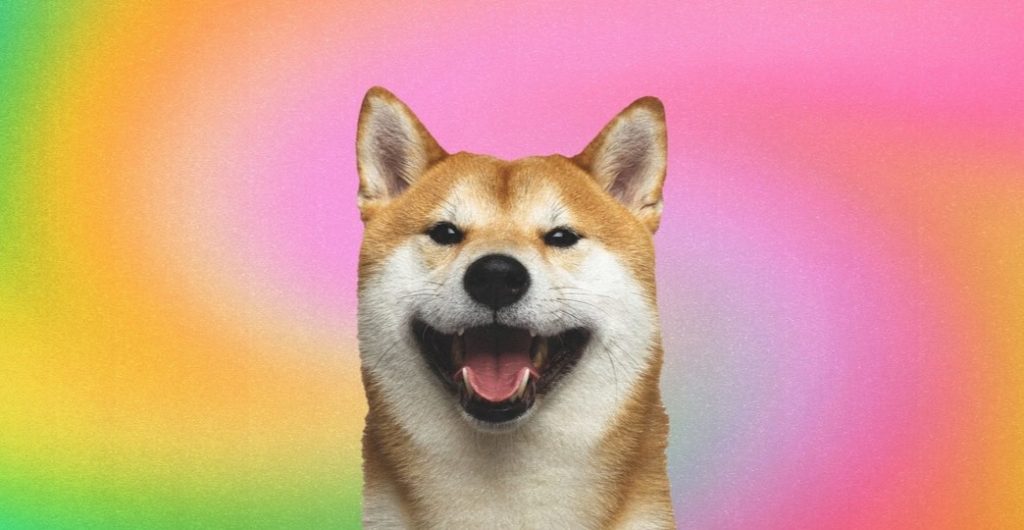  Shiba Inu Benimsenmesi Artıyor! İşte Yeni Müjde!