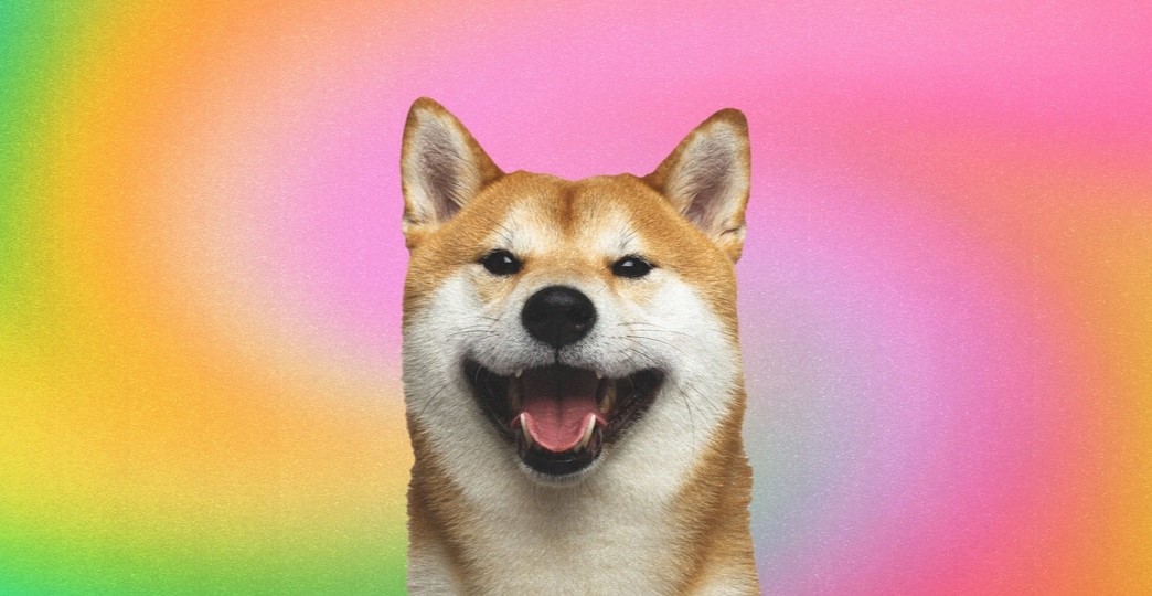  Shiba Inu Benimsenmesi Artıyor! İşte Yeni Müjde!