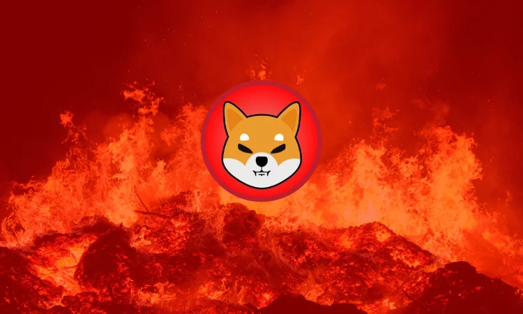 Shiba Inu Yakımları Rekora Koşuyor! İşte Ayrıntılar...