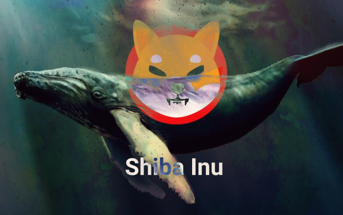 Shiba Inu Balinaları, Bu 9 Altcoin'in Peşine Düştü!