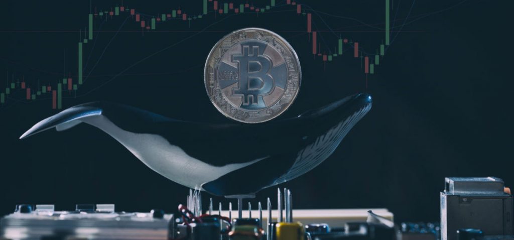Coinlerini Satan Bitcoin Balinaları, Bakın Paraları Nereye Koyuyor!