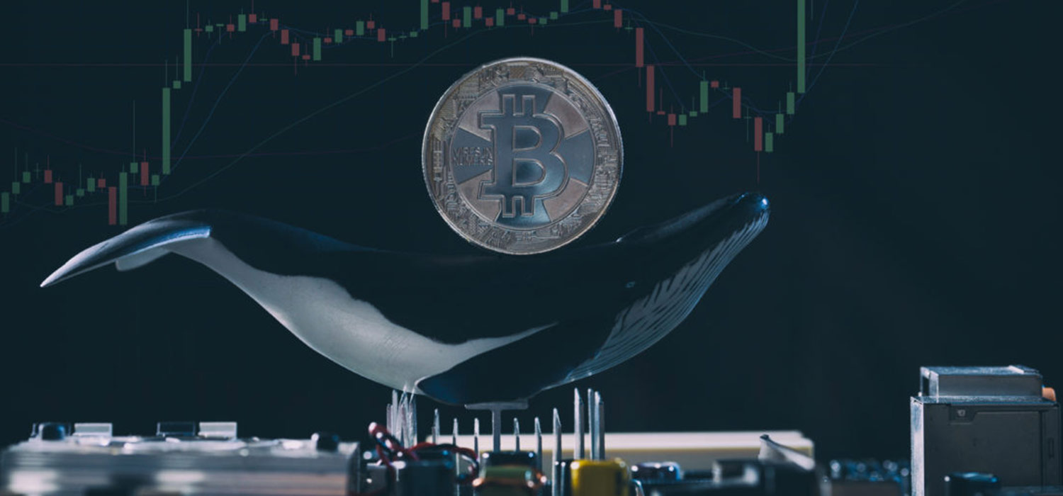 Coinlerini Satan Bitcoin Balinaları, Bakın Paraları Nereye Koyuyor!