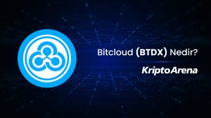 Bitcloud (BTDX) Nedir?