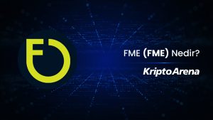 FME (FME) Nedir?