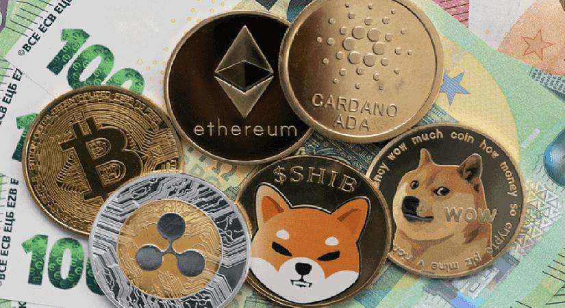Büyük Eller BTC, SHIB Değil: Bu Altcoin'e Oynuyor!