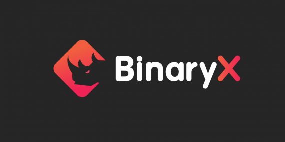 BinaryX (BNX) Nedir?