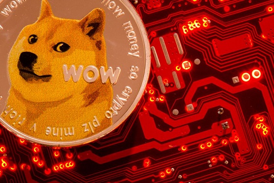 Dogecoin'e Konan 1.000 Dolar Şimdi Ne Kadar Değerli?
