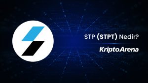 Standard Tokenization Protocol (STPT) Nedir?