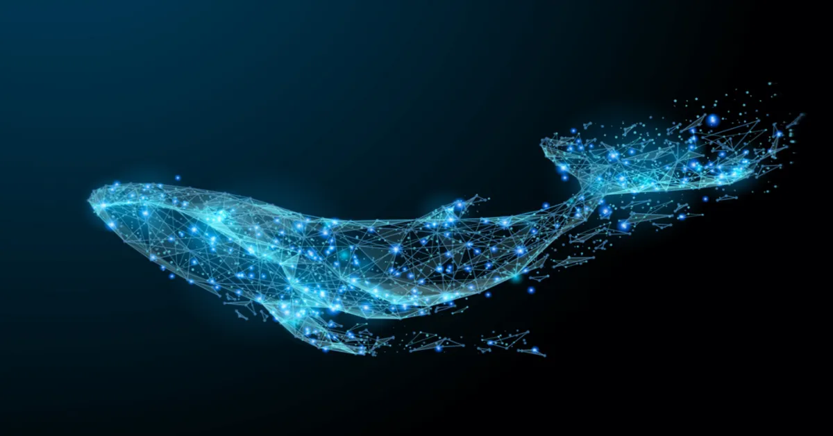 Bu Altcoin Balinaları Durmuyor: Coinler Stoklanıyor!