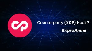 Counterparty (XCP) Nedir?