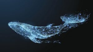 Dikkat: Balinalar Bu Altcoinler ile Dip Avcılığı Yapıyor!
