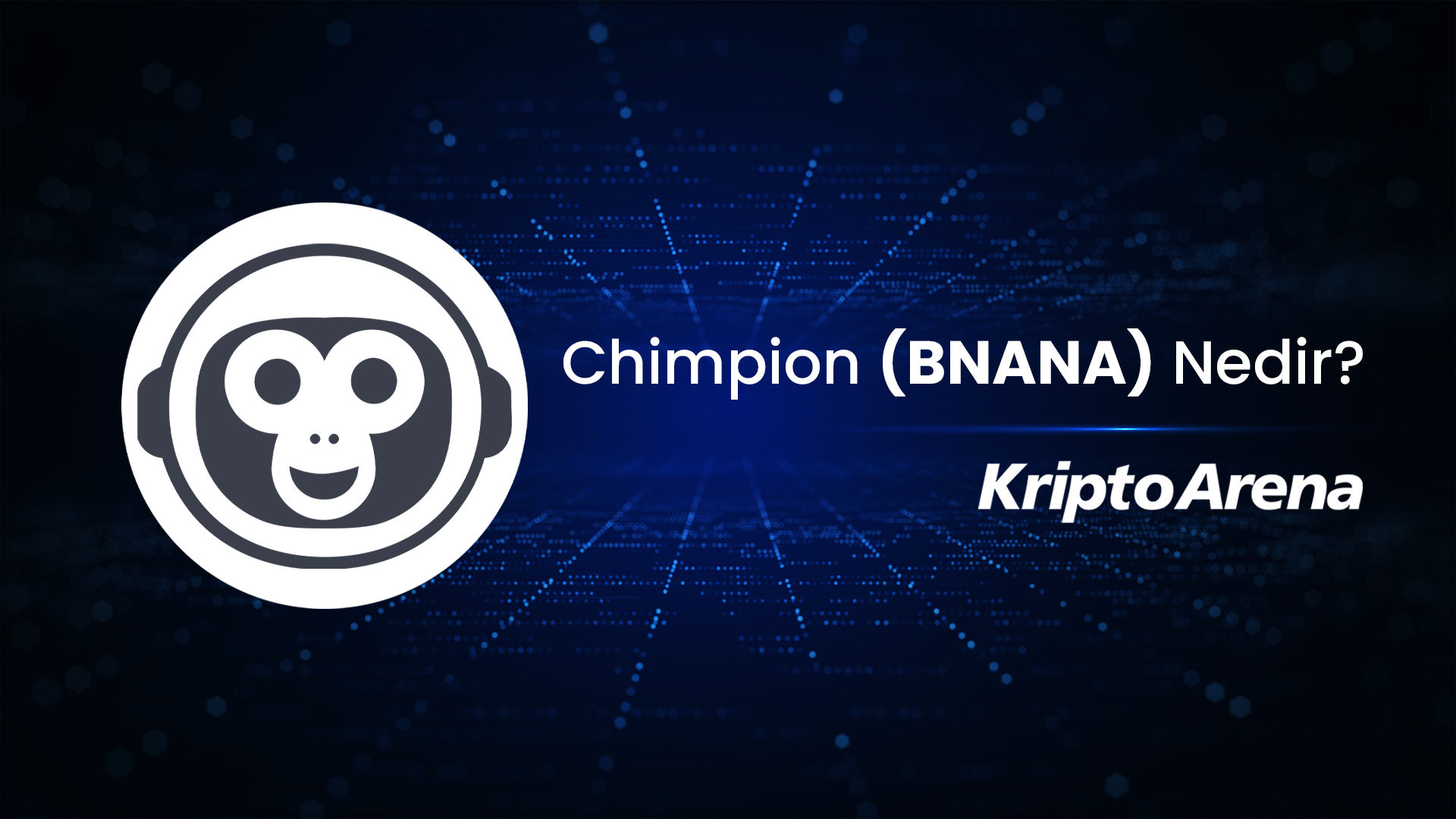 Chimpion (BNANA) Nedir?